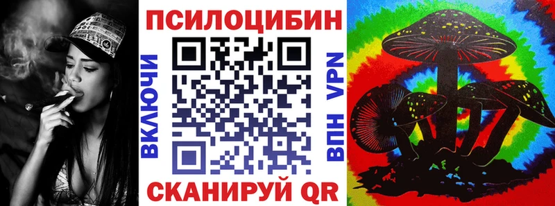 Галлюциногенные грибы Psilocybine cubensis купить наркотики сайты blacksprut маркетплейс Котовск