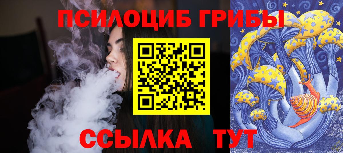 Псилоцибиновые грибы мицелий Котовск