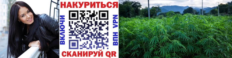 Конопля семена  купить  цена  Котовск 